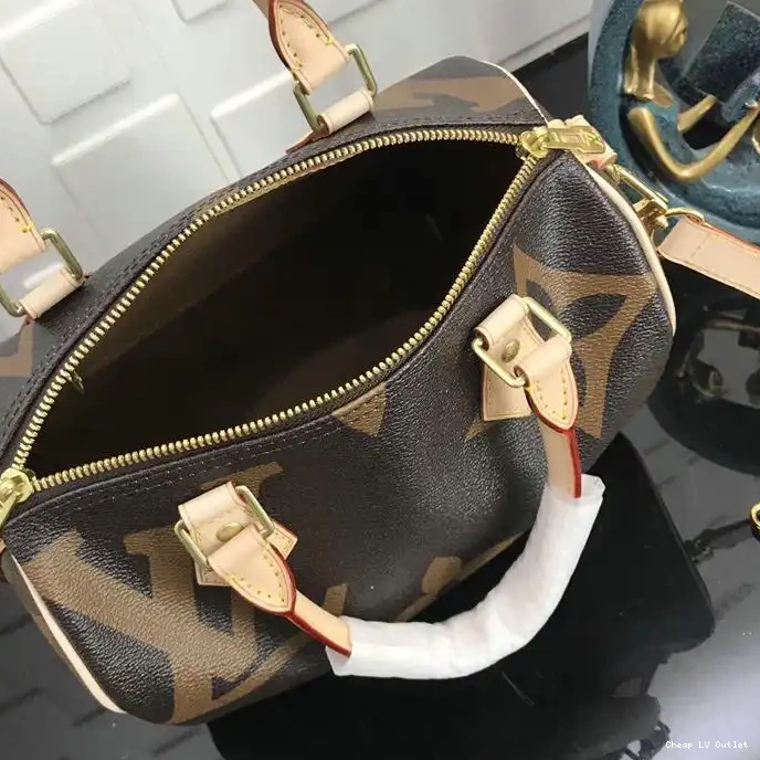 Reps 19T1L0001 LV Bags 0213