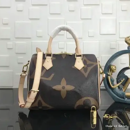 Reps 19T1L0001 LV Bags 0213